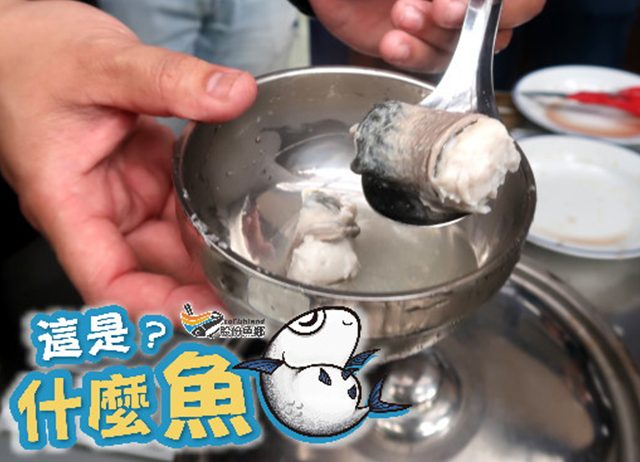 編號026：【走跳農村】這是什麼魚?來丸吧！