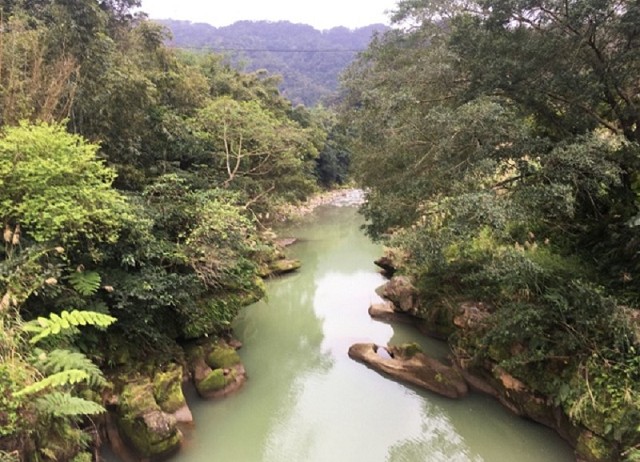 洄游十八重溪-螢火蟲書屋